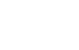 logo_BMI