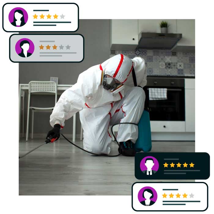 Pest-control_Google-review